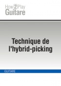 Technique de l'hybrid-picking