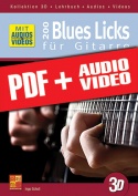 200 Blues Licks für Gitarre in 3D (pdf + mp3 + videos)