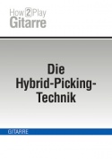 Die Hybrid-Picking-Technik